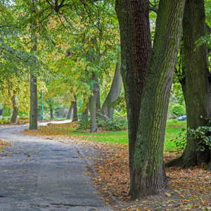 Zloty Potok, park przy palacu Raczynskich, 